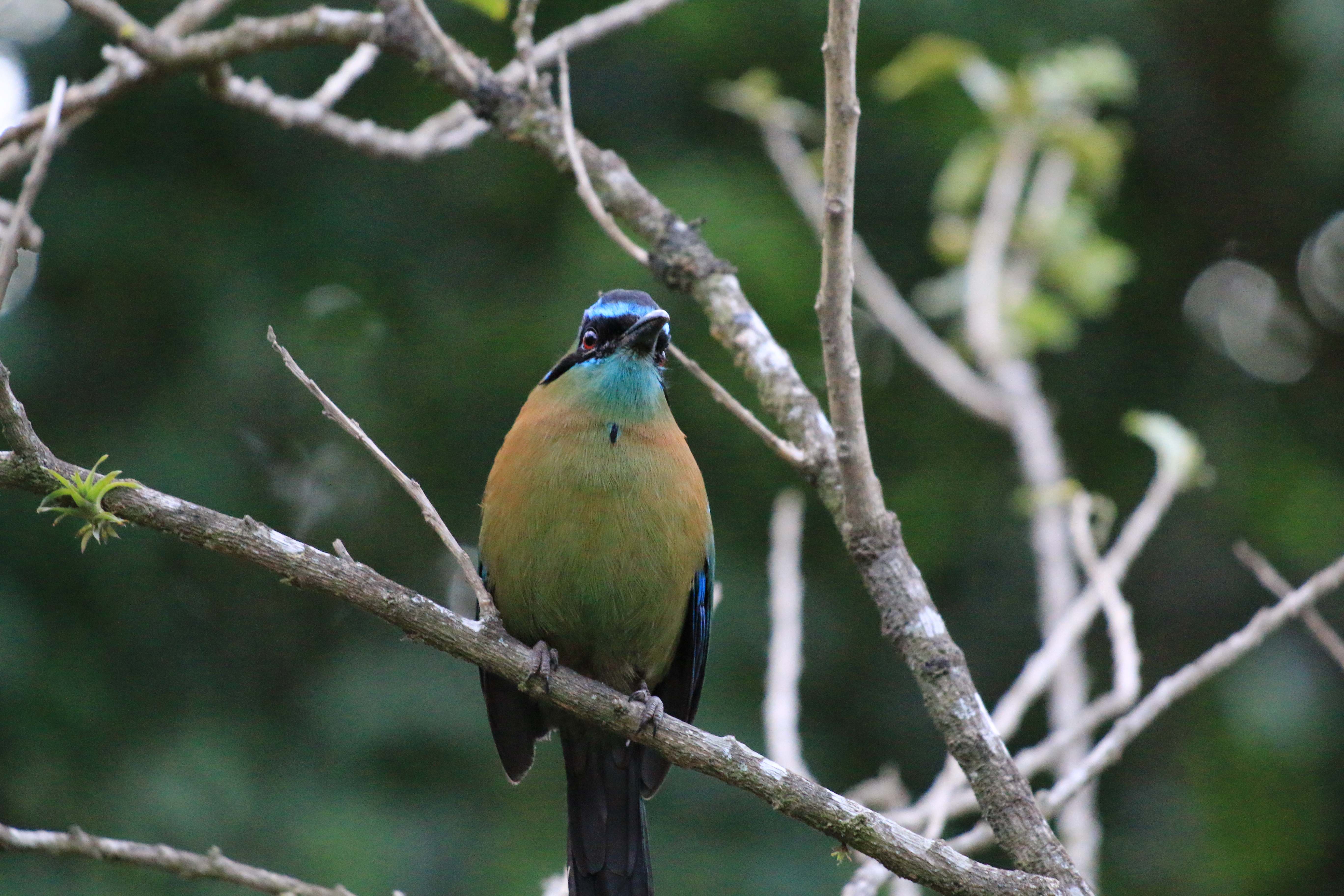 Costa Rica